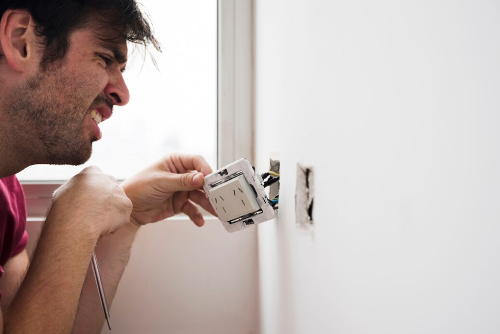Why are Ants Attracted to Electrical Outlets Find Out Now